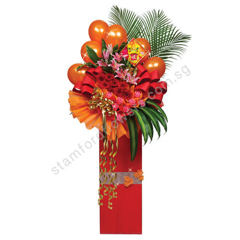 CGO-224-Successful Enterpris