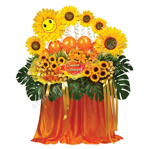 CGO-262-Sunny Celebration