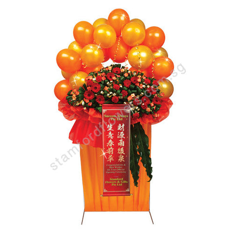 CGO-264-Success Celebration