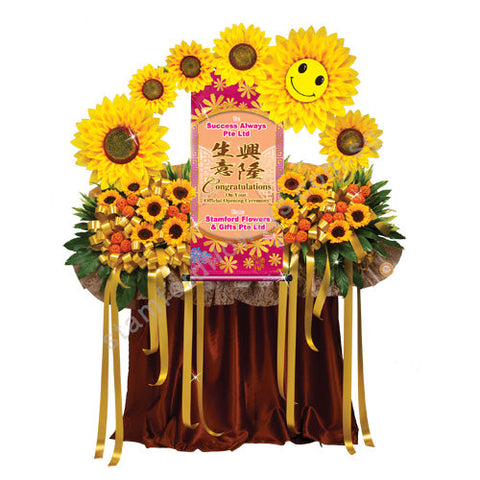 CGO-265-Sunny Venture