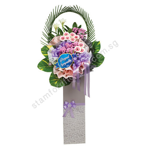 CWS-683-Deeply Respected