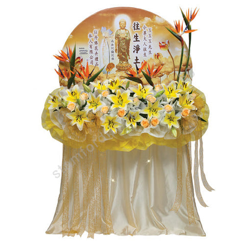 CWS-752-Paradise Grace