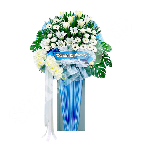 DWS-821 Elegant Farewell