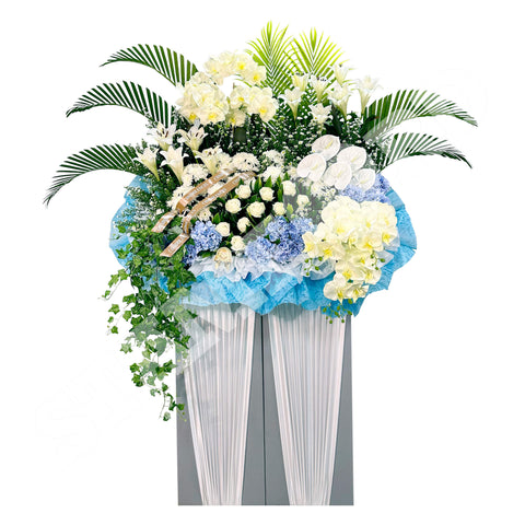 DWS-827 Cherished Tribute