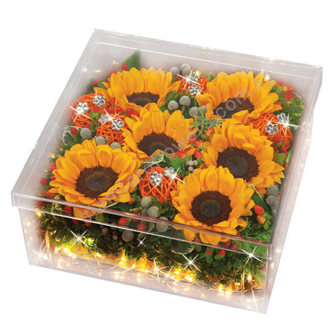 CSM-216-Sunflowers Light Box